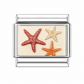 Charm Estrellas De Mar