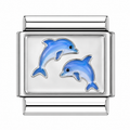 Charm Delfines